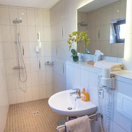 - Restaurant - Metzgerei Sonne מלון Loffenau