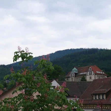 Hotel - Restaurant - Metzgerei Sonne *