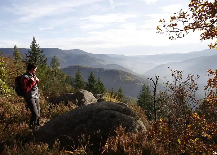 Szálloda - Restaurant - Metzgerei Sonne *